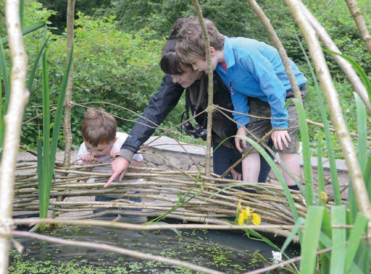 Leighton Moss